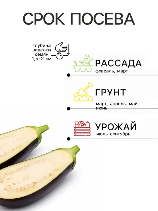 Семена Баклажан Лебединый Агроуспех 0,2г (300)