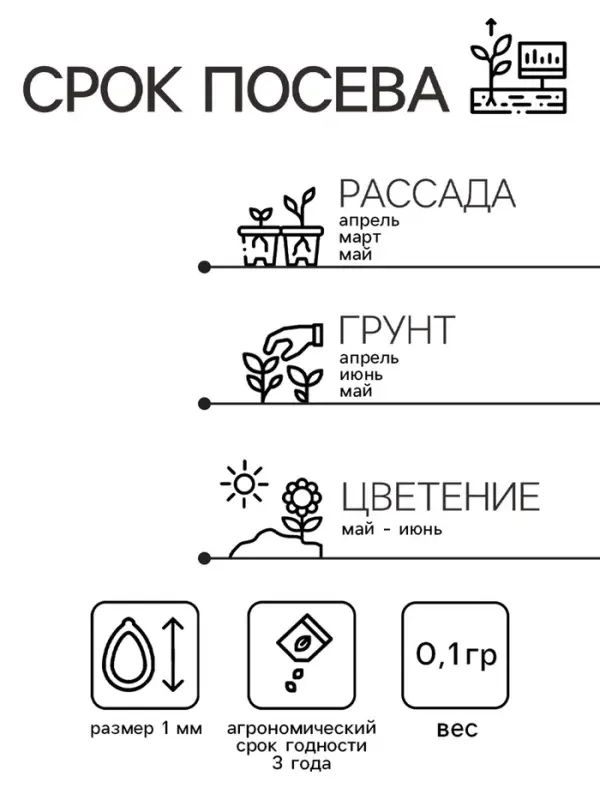 Семена гвоздика &laquo;Фиолетовая&raquo;, 0.1 г