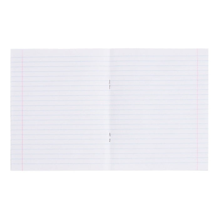 Комплект тетрадей из 10 штук, 24 листа в линию КПК "Зелёная обложка", блок офсет, 58-62 г/м&sup2;, белизна 90%