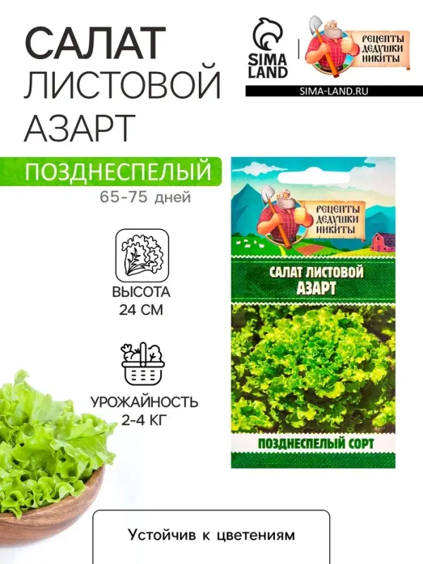 Семена Салат листовой  Семена Салат листовой "Азарт",0,5 г