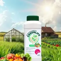 Органическое удобрение Greenlife &laquo;Домашний огород&raquo;, 500 мл
