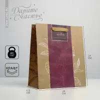 Пакет подарочный крафтовый, упаковка, &laquo;Best wishes&raquo;, ML 23 х 27 х 11.5 см