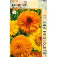 Семена Календула "Принцесса" 0,5 г Семена Календула "Принцесса" 0,5 г