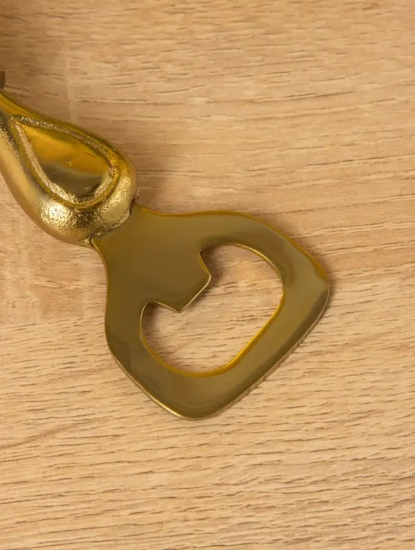 Открывашка Открывашка "Лев" 5х5х14 см, алюминий