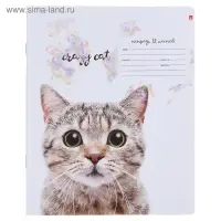 Тетрадь 12 листов в клетку &laquo;Удивительные котята&raquo;, обложка мелованная бумага, ВД-лак, МИКС