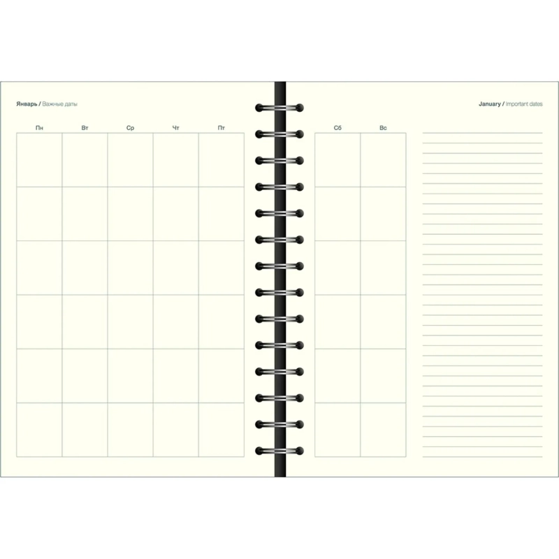 Бизнес-тетрадь Infolio 14x20см 96л клет спираль Исследовать,сер I1778/grey