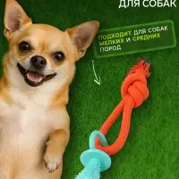 Игрушка жевательная с канатом &laquo;Сосочка&raquo;, до 25 см, оранжевая, голубая