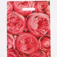 Пакет полиэтиленовый с вырубной ручкой &laquo;Пионы&raquo;, розовые, 30&times;40 см, 50 мкм