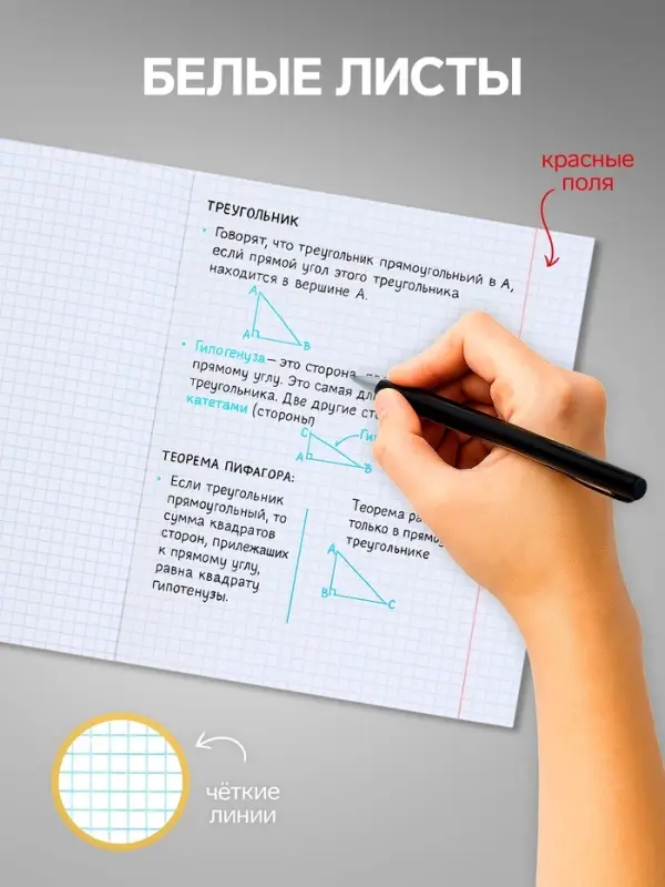 Комплект тетрадей из 10 штук, 18 листов в клетку Calligrata "Еноты", обложка мелованный картон, ВД-лак, блок офсет, 5 видов по 2 штуки