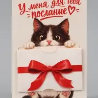 Открытка средняя с конвертом для денег &laquo;Послание для тебя&raquo;, 12&times;18 см, котёнок