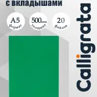 Папка с 20 вкладышами А5, 500 мкм, Calligrata, текстура &laquo;песок&raquo;, зеленая