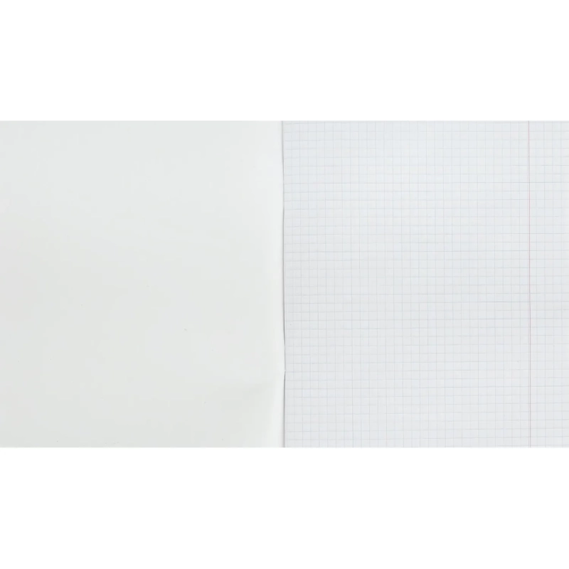 Тетрадь общая 48л,клет,А5,скреп,обл.бумвин,блок офс,в асс