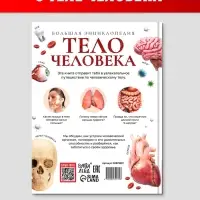 Энциклопедия в твёрдом переплёте &laquo;Строение тела человека&raquo;, 128 стр.