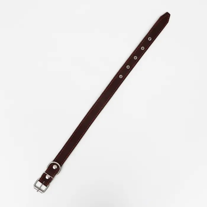 Ошейник кожаный на синтепоне, 65&times;3 см, ОШ 40-55 см, коричневый