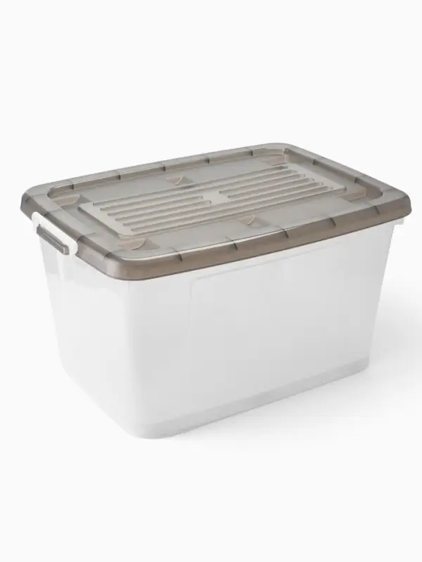 Ящик для хранения Darel-box, 75 л, 70&times;49&times;37 см, с крышкой, МИКС