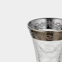 Рюмки &laquo;Флора&raquo;, 60 мл, с гравировкой и напылением, 3 шт., стекло, прозрачный