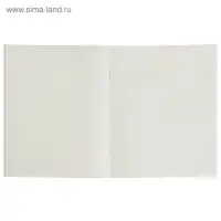 Тетрадь 48 листов в клетку, Calligrata «Авокадо», обложка мелованный картон, МИКС