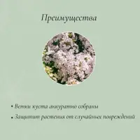 Кустодержатель для цветов, d=40 см, h=80 см, ножка d=1 см, металл, зелёный