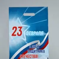 Пакет подарочный &laquo;23 февраля&raquo;, полиэтиленовый с вырубной ручкой, синий, 30&times;40 см, 50 мк