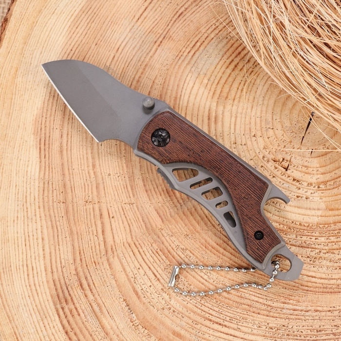 Нож перочинный складной Нож перочинный складной "Странник" 14см, клинок 52мм/2мм, рукоять дерево
