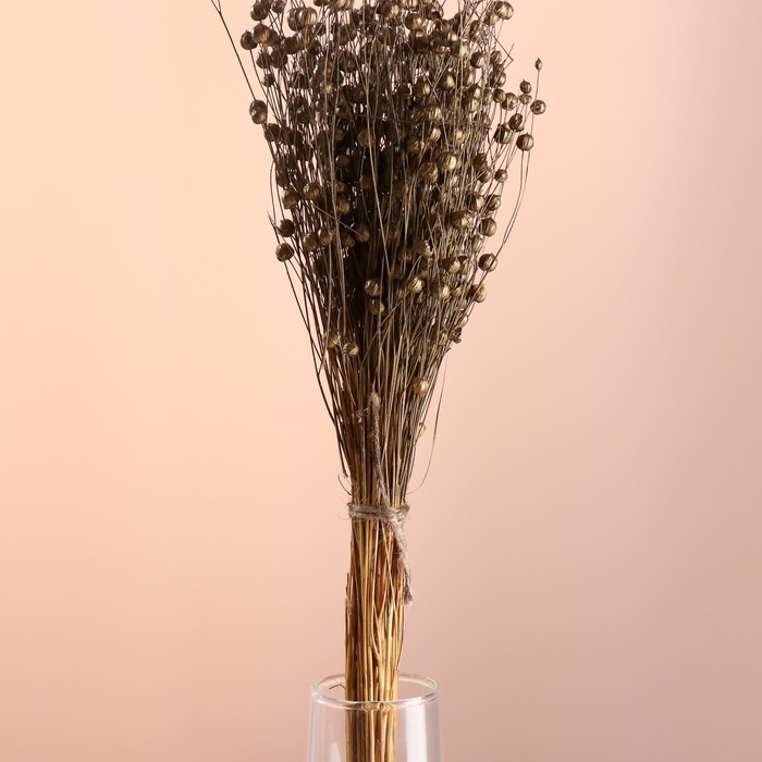 Набор сухоцветов Набор сухоцветов "Лён-долгунец", банч длина 55-60 (+/- 6 см), бронза
