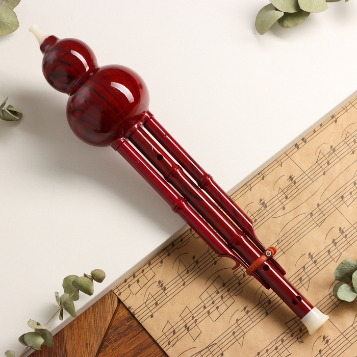 Флейта Music Life, хулуси, тональность C, красная, 42 х 8,7 х 5 см Флейта Music Life, хулуси, тональность C, красная, 42 х 8,7 х 5 см
