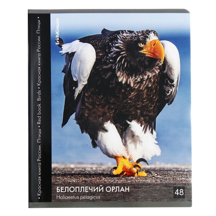 Тетрадь 48 листов в клетку, ErichKrause Тетрадь 48 листов в клетку, ErichKrause "Красная книга России. Птицы", обложка мелованный картон, глянцевая ламинация, блок офсет 100% белизна, МИКС