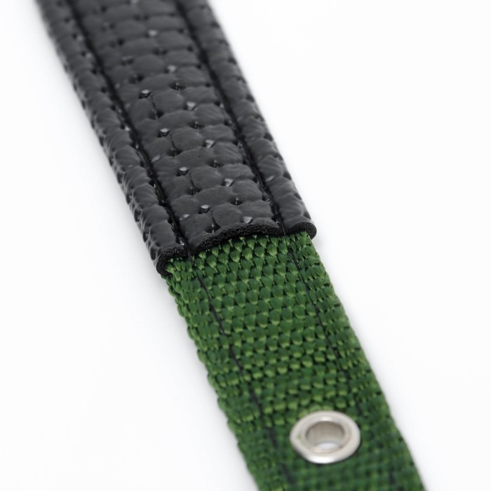 Ошейник Ошейник "Комфорт" комбинированный, 45 х 2 см, ОШ 30-39 см, темно-зеленый