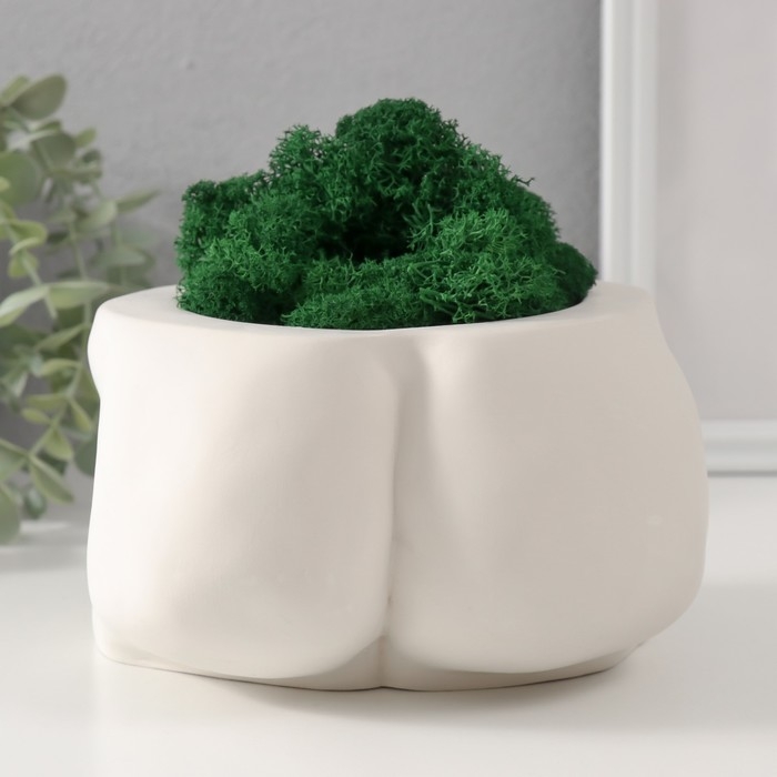 Кашпо бетонное Кашпо бетонное "Достоинство" со мхом высота 10 см,ширина 17 см белый (мох зеленый стабилиз)