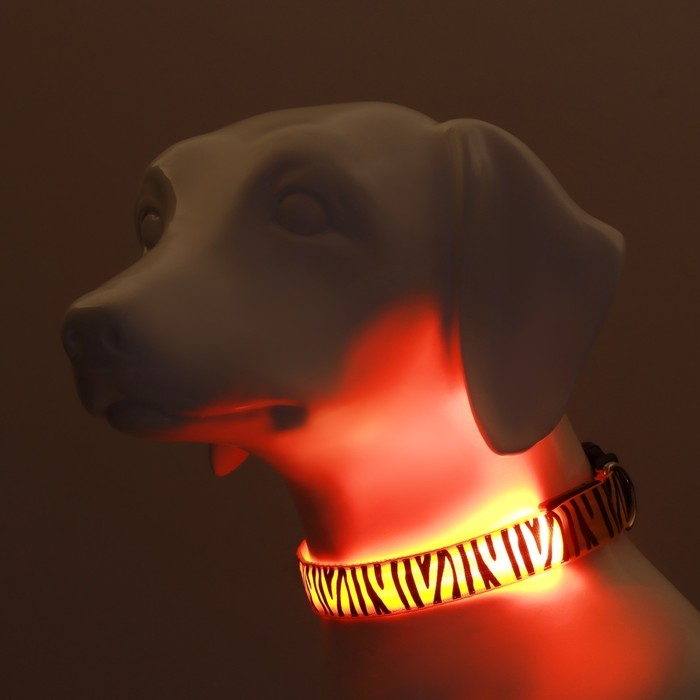 Ошейник с подсветкой Тигр 3 режима свечения размер XL, ОШ 60-70 х 2,5 см оранжевый Ошейник с подсветкой Тигр 3 режима свечения размер XL, ОШ 60-70 х 2,5 см оранжевый