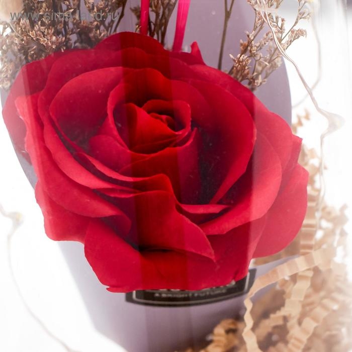 Ночник Ночник "Колба с розой в букете" LED 3ААА МИКС 23х11х11 см RISALUX