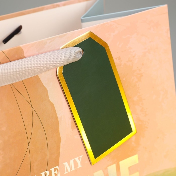 Пакет подарочный ламинированный, упаковка, «Солнце моё», 25.4 х 30.5 х 12.7 см Пакет подарочный ламинированный, упаковка, «Солнце моё», 25.4 х 30.5 х 12.7 см