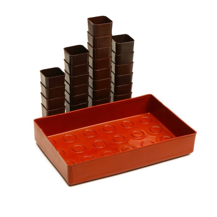 Набор для рассады: стаканы по 70 мл (24 шт.), поддон 29,5 × 20 см, МИКС Набор для рассады: стаканы по 70 мл (24 шт.), поддон 29,5 × 20 см, МИКС