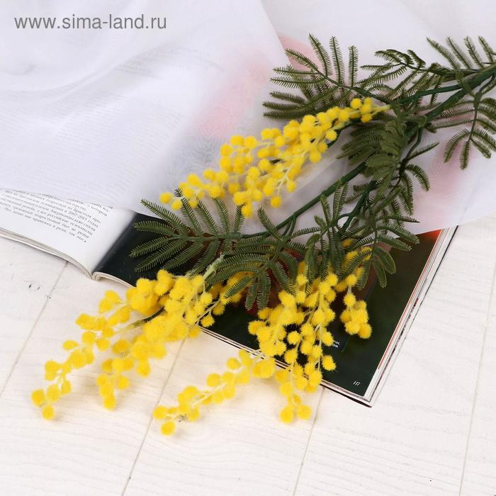 Цветы искусственные  Цветы искусственные "Мимоза" 65 см, жёлтый