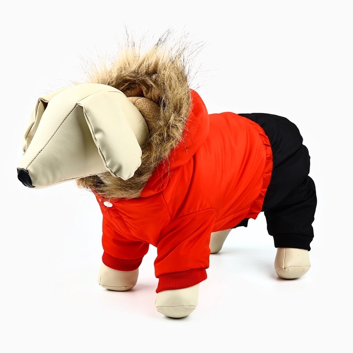 Одежда для собак. Комбинезон зимний «Тёплая зима», красно-чёрный, размер S Одежда для собак. Комбинезон зимний «Тёплая зима», красно-чёрный, размер S