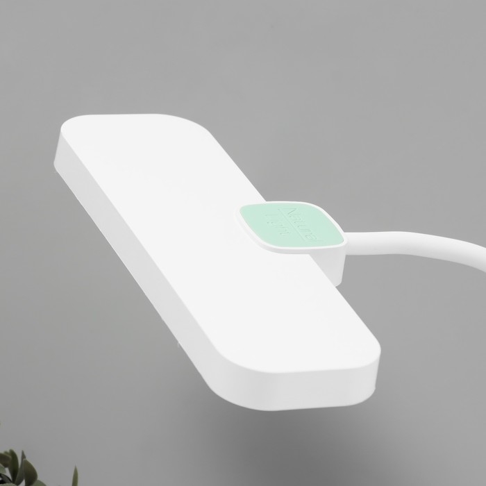 Настольная лампа  Настольная лампа "Лайти" LED 4Вт USB АКБ бело-зеленый 12,5х19х32,5 см