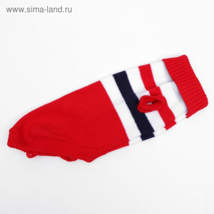 Свитер, размер 18 (ДС 50-65, ОШ 22-37, ОГ 38-53 см), микс расцветок Свитер, размер 18 (ДС 50-65, ОШ 22-37, ОГ 38-53 см), микс расцветок