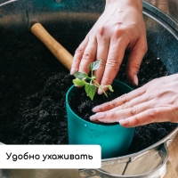 Набор для рассады: стаканы по 500 мл (8 шт.), поддон 40 × 20 см, цвет МИКС, Greengo