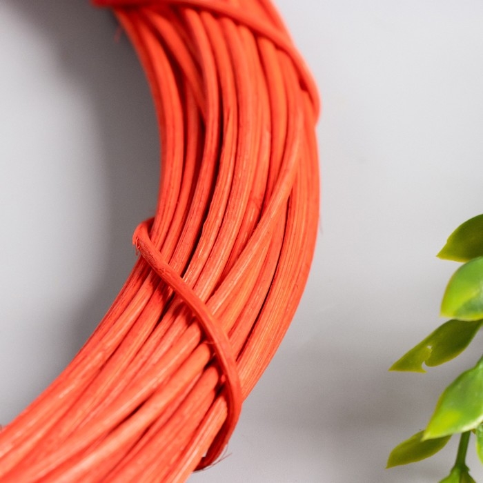 Кольцо ротанг для изготовления ловца снов Кольцо ротанг для изготовления ловца снов "Красный" d=25 см