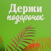 Пакет подарочный с формовым клапаном, упаковка, «Львенок», 23 х 27 х 11.5 см