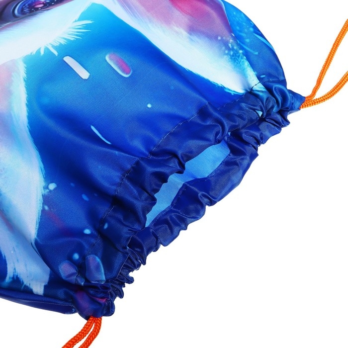 Мешок для обуви 420 х 340 мм, Calligrata МСО-5С, (мягкий полиэстер, плотность 210D),  Мешок для обуви 420 х 340 мм, Calligrata МСО-5С, (мягкий полиэстер, плотность 210D), "Пушистый дружок заяц"