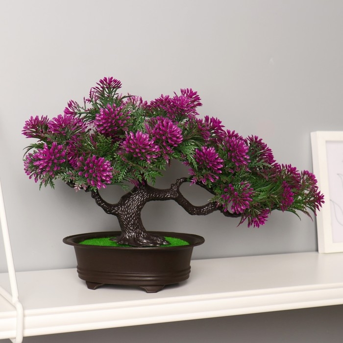 Бонсай Бонсай "Звёздник" 16х22 см, микс