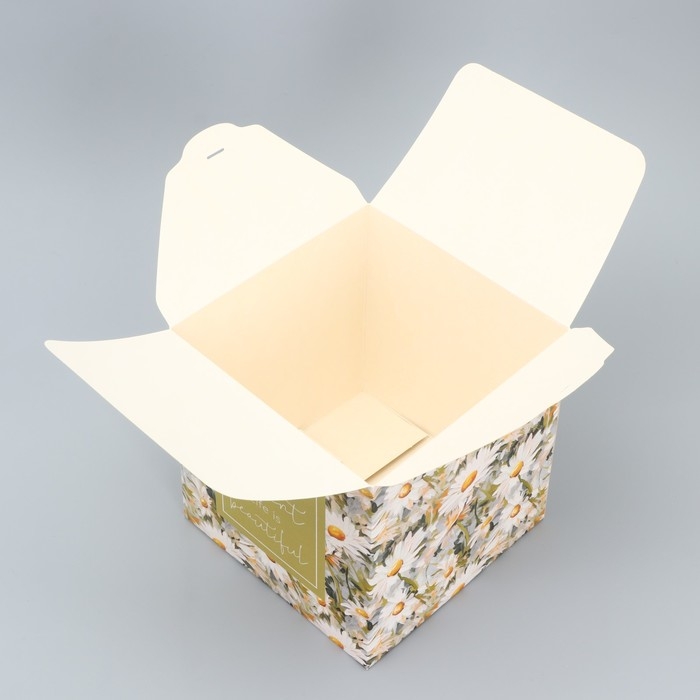 Коробка подарочная складная, упаковка, «Ромашки», 18 х 18 х 18 см