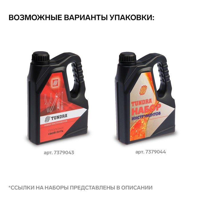 Набор инструментов ТУНДРА, подарочный пластиковый кейс Набор инструментов ТУНДРА, подарочный пластиковый кейс "Канистра", 21 предмет