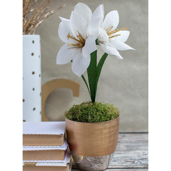 Бумага для упаковки и поделок, гофрированная, белоснежная, однотонная, двусторонняя, рулон 1шт., 0,5 х 2,5 м Бумага для упаковки и поделок, гофрированная, белоснежная, однотонная, двусторонняя, рулон 1шт., 0,5 х 2,5 м