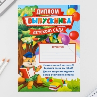 Подарочный набор на выпускной в папке 7 предметов «ВЫПУСКНИКА детского сада»