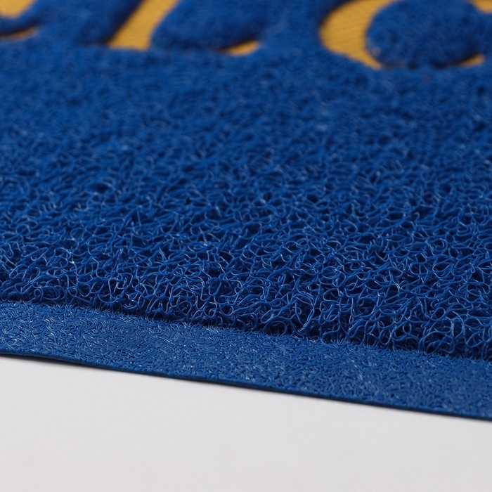 Коврик придверный Доляна Welcome, с окантовкой 38&times;58 см, цвет синий