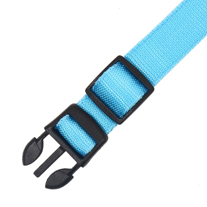 Ошейник с подсветкой Двойная полоса размер XL, ОШ 52-60 х 2,5 см, 3 режима свечения голубой Ошейник с подсветкой Двойная полоса размер XL, ОШ 52-60 х 2,5 см, 3 режима свечения голубой