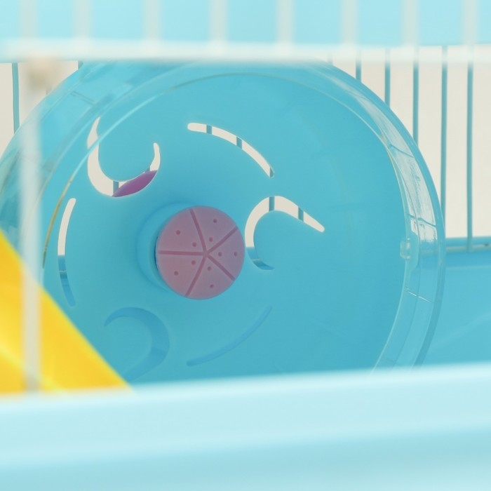 Клетка для грызунов Клетка для грызунов "Пижон" с замком, 31 х 24 х 27 см, голубая