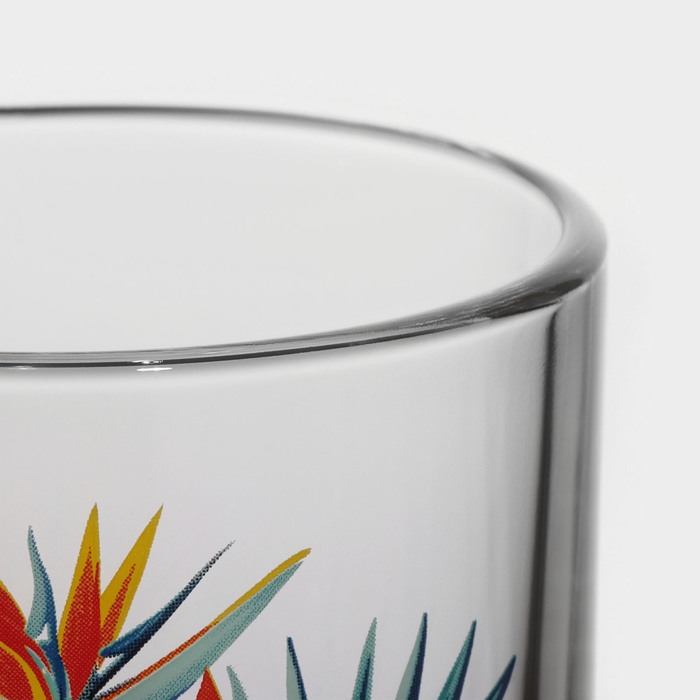 Кружка стеклянная «Тропические цветы», 200 мл, рисунок МИКС Кружка стеклянная «Тропические цветы», 200 мл, рисунок МИКС